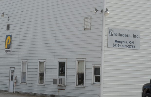 United Producers holds 5th Fat Cattle Show and Sale at Bucyrus