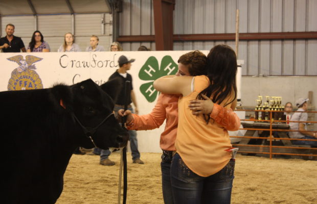 Championships run in the family at Steer Show