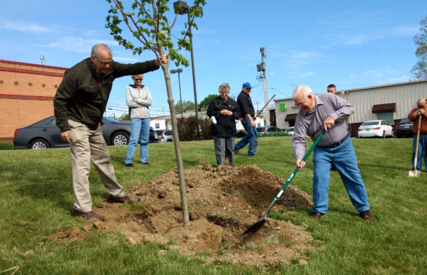 Council receives update on tree project