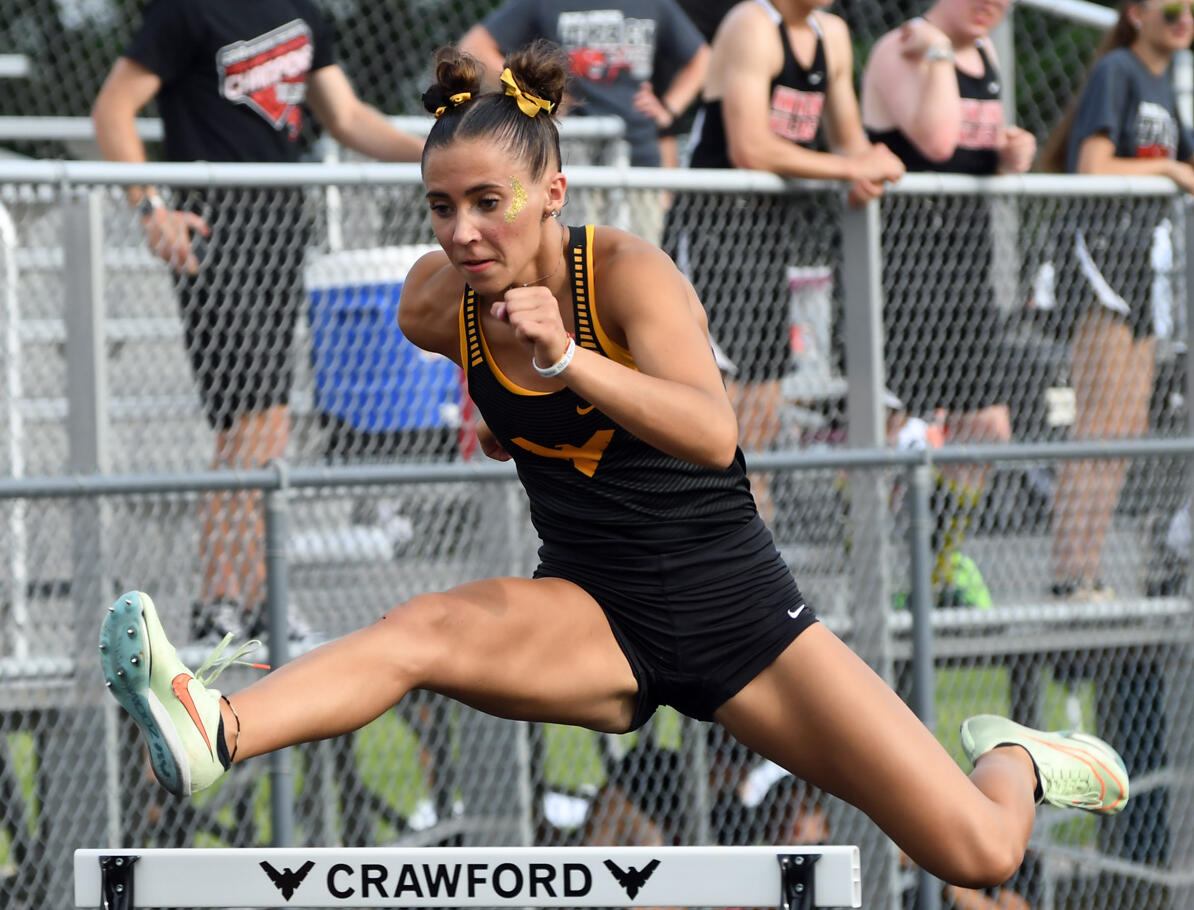 Area athletes qualify for regional track - Crawford County Now