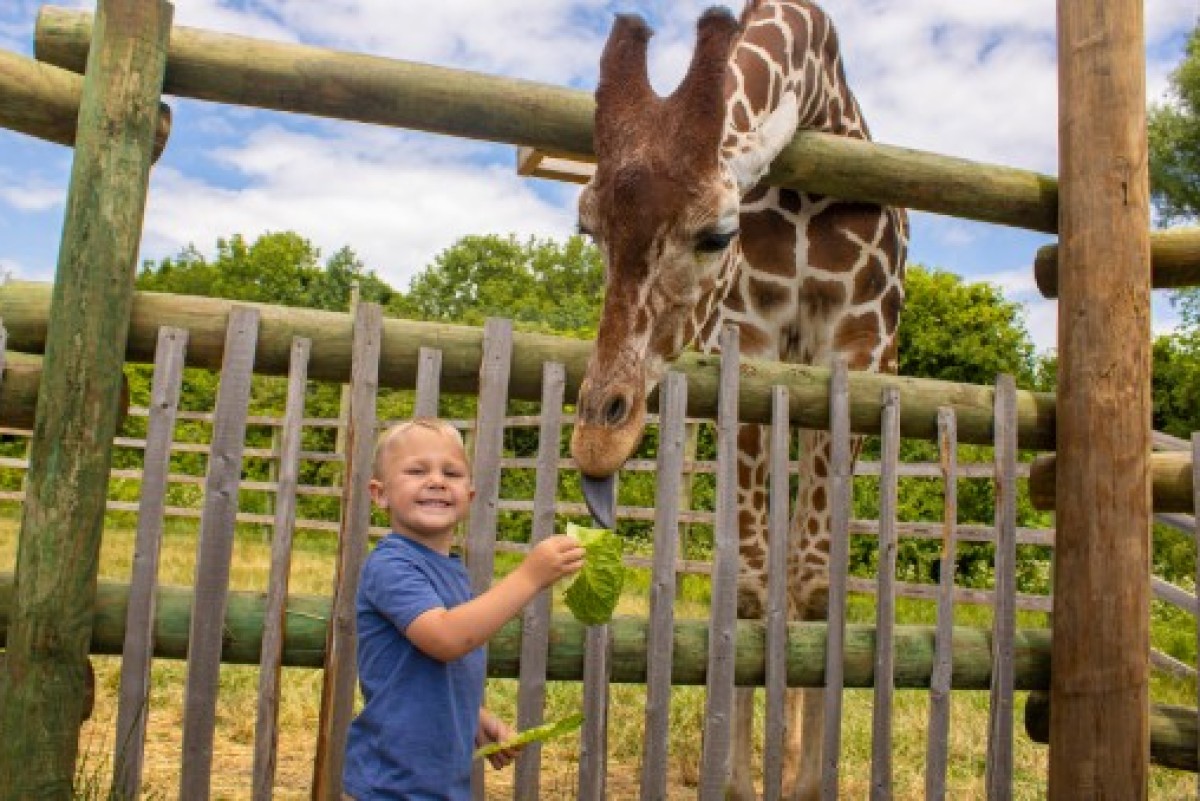 African Safari Wildlife Park kicks off extended weekends - Crawford ...