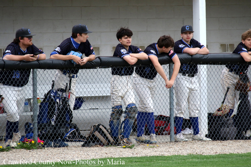 Youth baseball players in navy uniforms leaning over a dugout railing beside a chain-link fence.