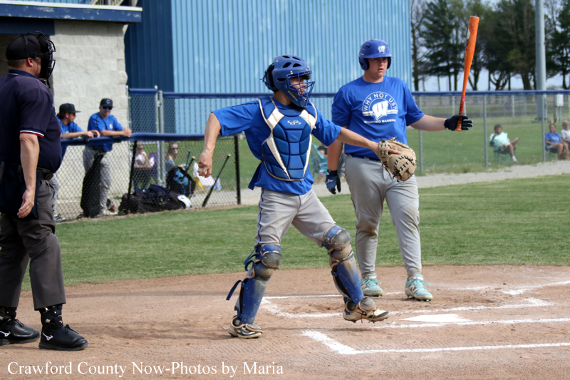 Youth baseball scene: a catcher in blue gear at home plate with an umpire nearby as a batter stands ready with a bat on the right side of the frame.