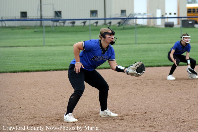 Female softball player in a blue Royals jersey crouches on the dirt infield, glove ready to field a ball.