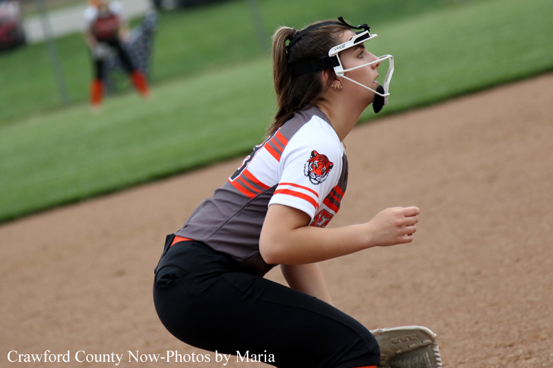 Female softball catcher crouched in ready position on the dirt infield, wearing helmet and tiger-logo jersey.