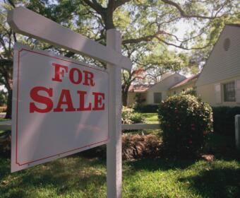 White wooden 'For Sale' sign in the front yard of a suburban house with trees behind it.