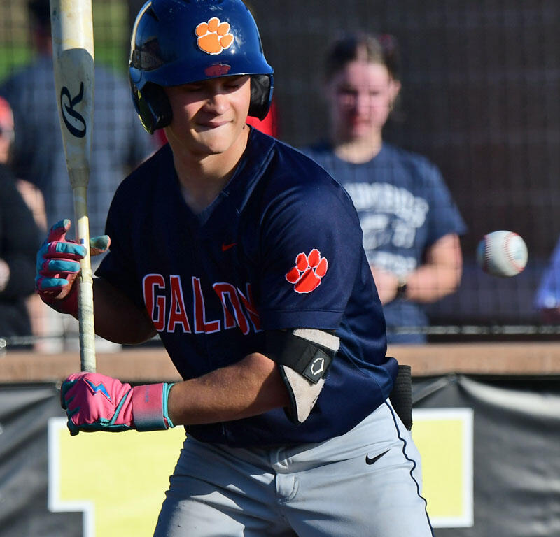 Softball batter in a navy jersey with an orange paw logo, wearing a helmet and batting gloves, prepared to swing at the ball.
