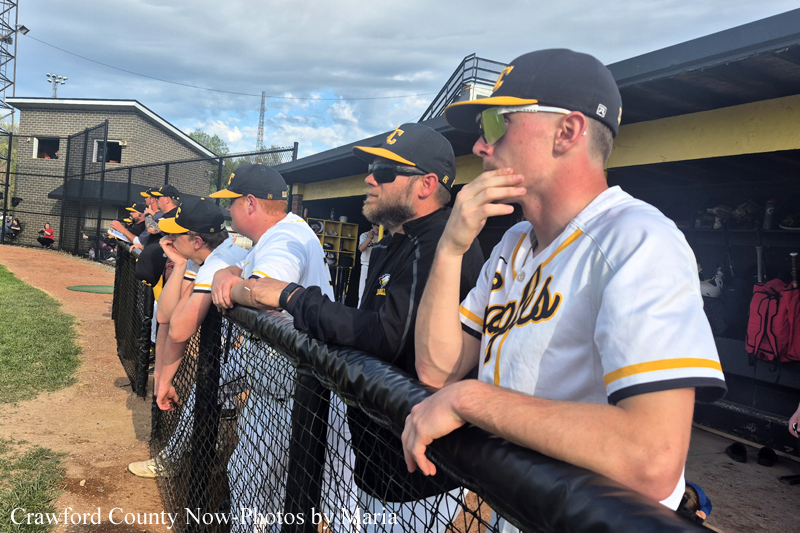 Baseball players in white and yellow uniforms leaning on a chain-link fence at the dugout, watching the game on a sunny day.