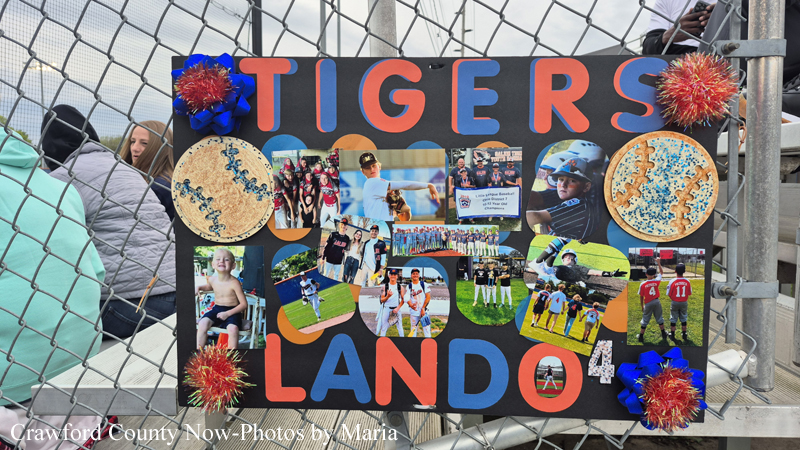 Banner for Tigers Landon 4 on a chain-link fence, featuring a collage of youth baseball photos and blue/red pom-poms.