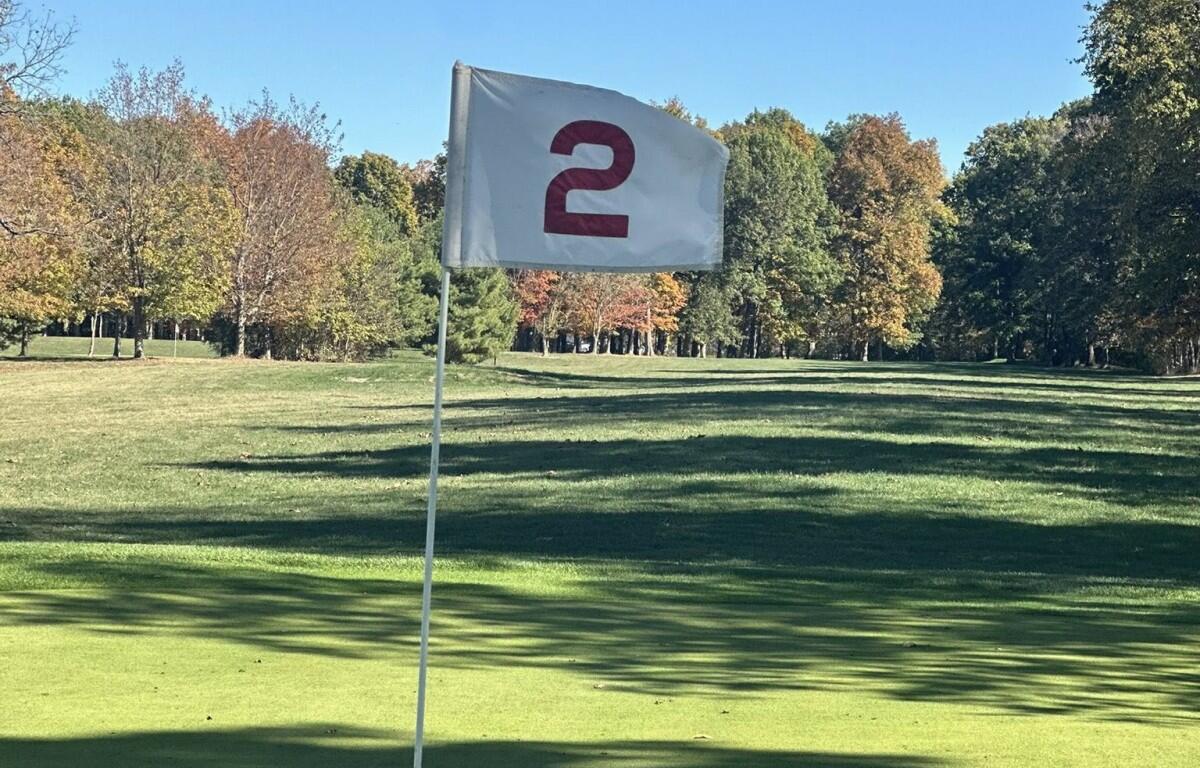 Flag marking hole number 2 on a sunny golf course with green grass and trees in the distance.
