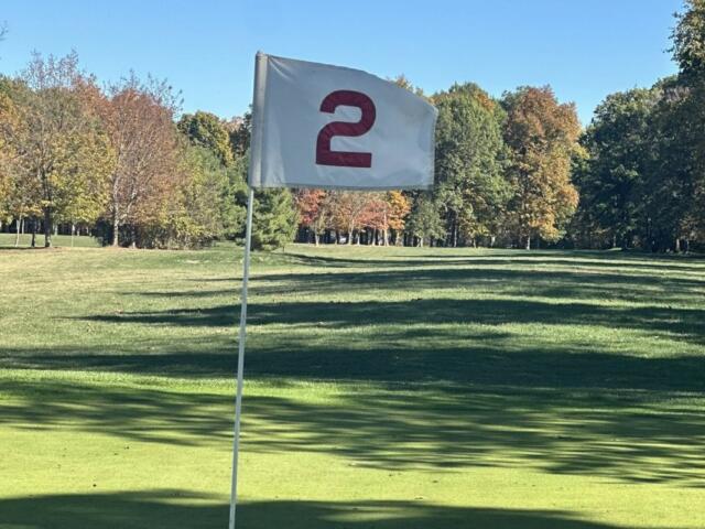 Flag marking hole number 2 on a sunny golf course with green grass and trees in the distance.