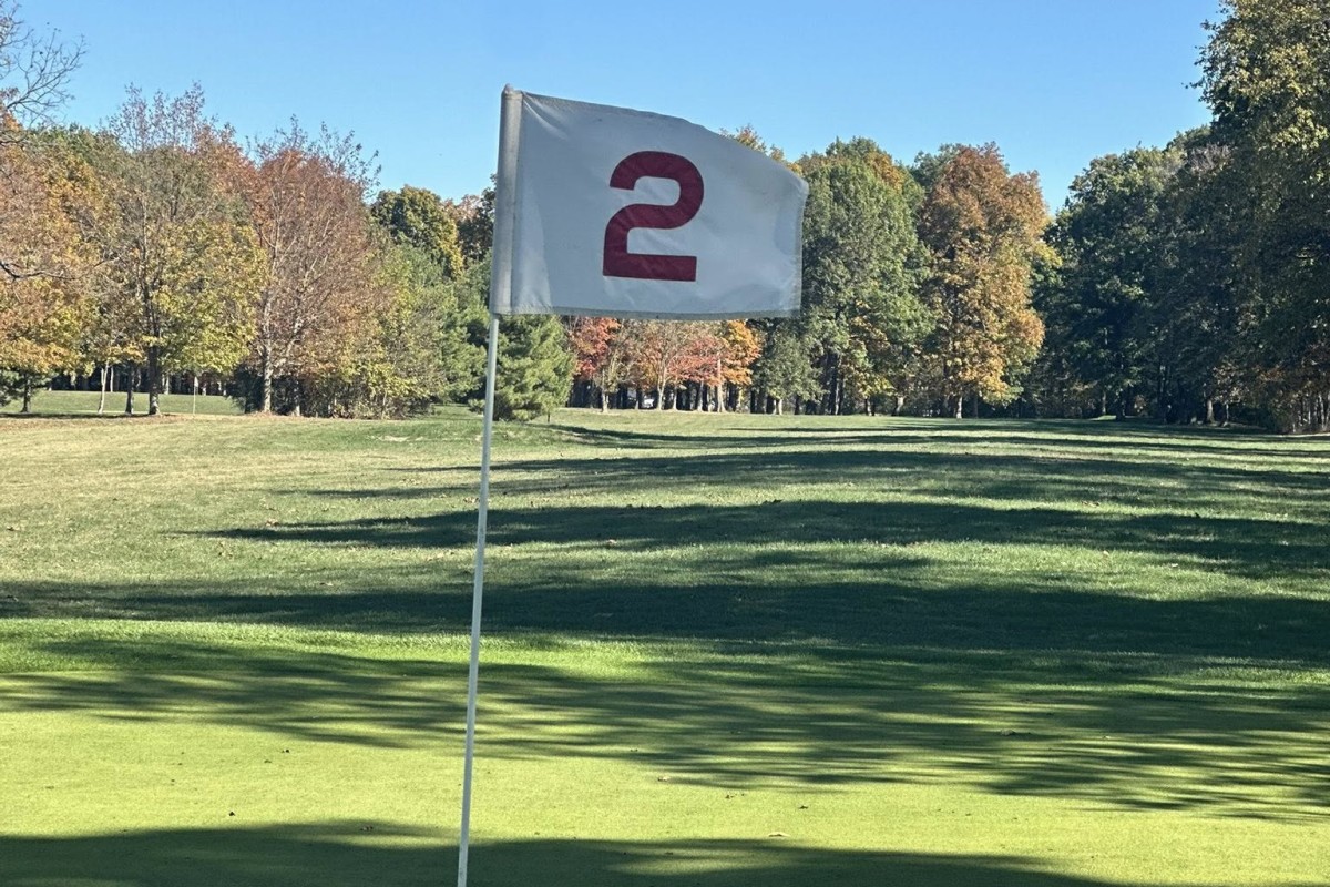 Flag marking hole number 2 on a sunny golf course with green grass and trees in the distance.