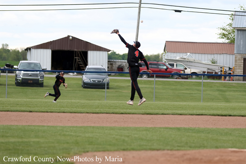 Baseball game in progress: a fielder wearing number 4 leaps to catch a ball over the outfield fence while a teammate stands ready nearby; rural backdrop with buildings and cars behind the fence.