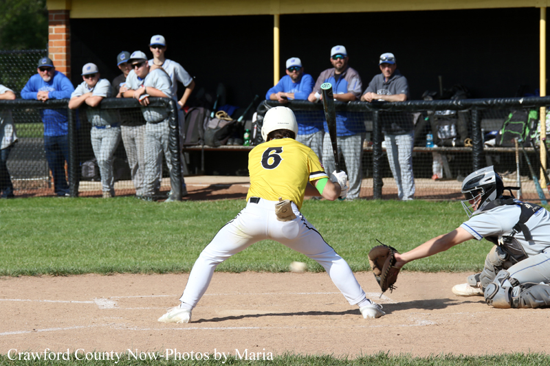 A batter in a yellow jersey and white pants at home plate swinging at a pitched ball, catcher in gray gear ready behind him, with spectators watching from the dugout area in the background.