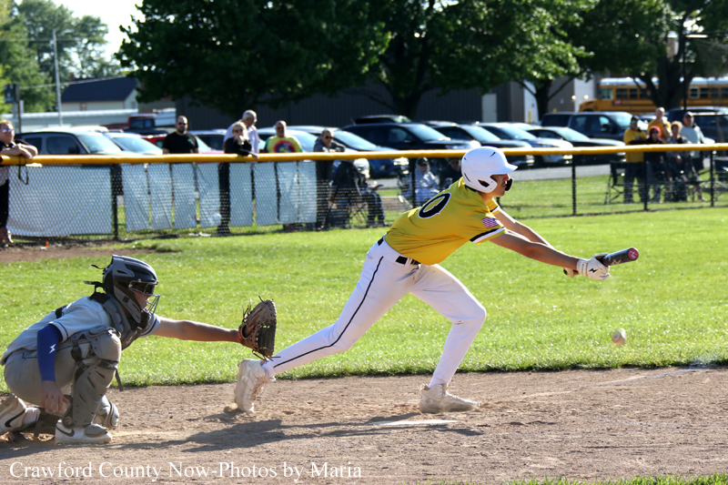 Youth baseball batter in a yellow uniform swings at a pitched ball near home plate as the catcher in gray gear crouches behind him; spectators and a chain-link fence in the background.