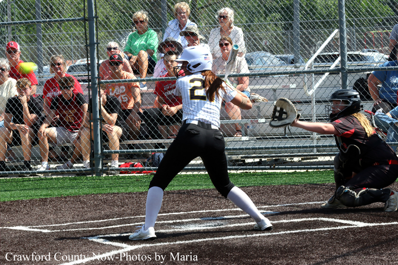 Batter in a white jersey with number 2 and helmet swings at a pitch near home plate, with catcher in black gear low to block the plate and spectators behind a chain-link fence.