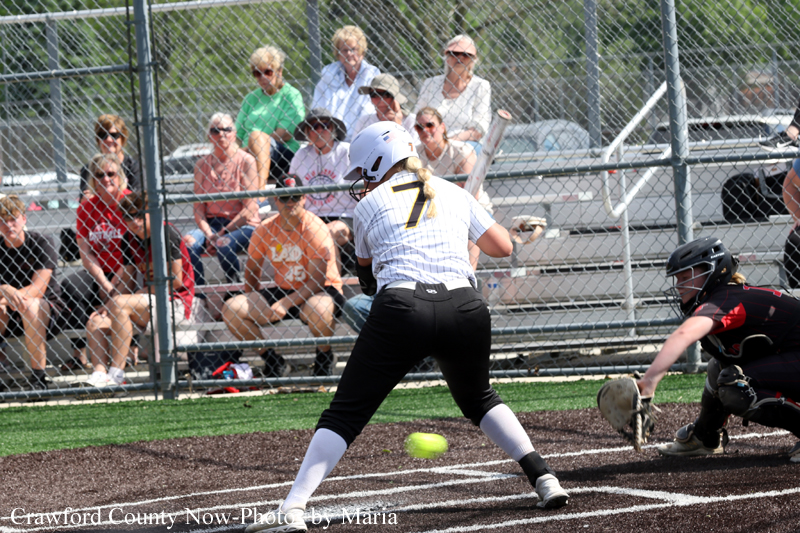 Softball batter in a white uniform with number 7 swings at a pitch, catcher crouched nearby, crowd watching behind the chain-link fence men’s bleachers behind home plate.