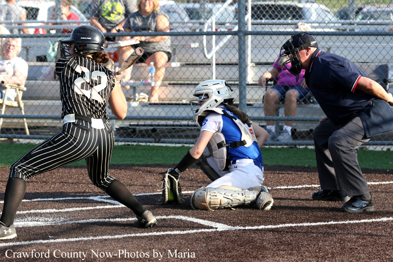 Softball game at home plate: catcher in blue and white crouches as batter in black pinstripes prepares to swing, with umpire watching nearby.
