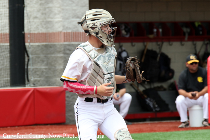 Baseball catcher in full protective gear standing on the field, facing right with a glove ready.