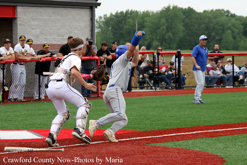 Baseball scene: runner slides toward home plate as catcher in gear reaches for the ball, with onlookers and coach watching from the dugout.