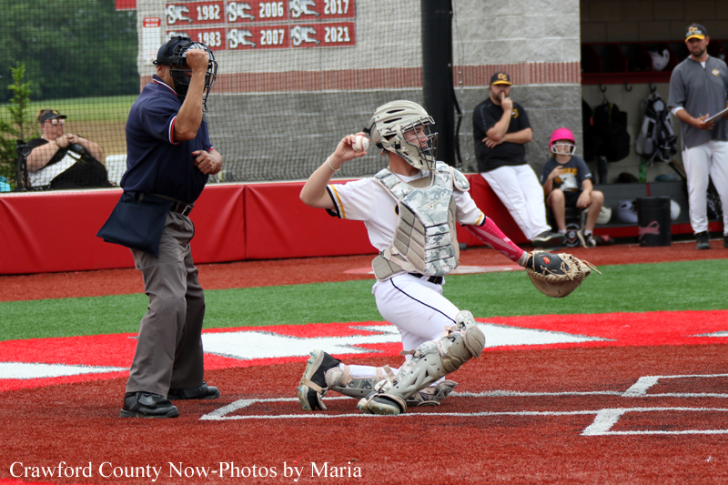Catcher in white gear kneels at home plate, raising his throwing arm while an umpire watches from behind; players sit in the background.