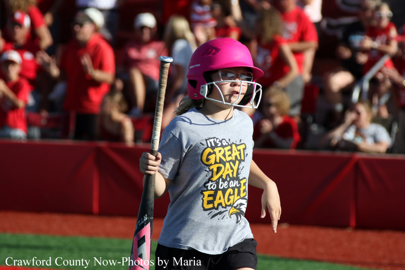 Young girl in a pink batting helmet and gray T-shirt holding a softball bat on a field with a cheering crowd in the stands behind her.