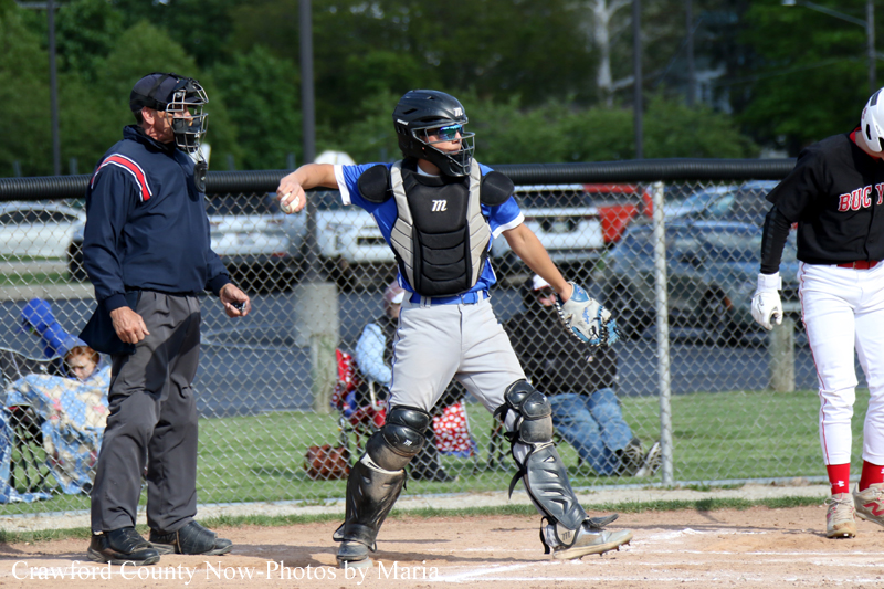 Young baseball catcher wearing protective gear, crouching at home plate with umpire nearby and a fencer behind, during a game.