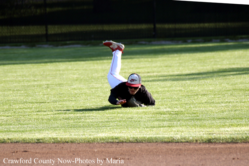 Baseball fielder in a black jersey and white pants dives on the grass, glove extended to field a ball near the infield dirt.