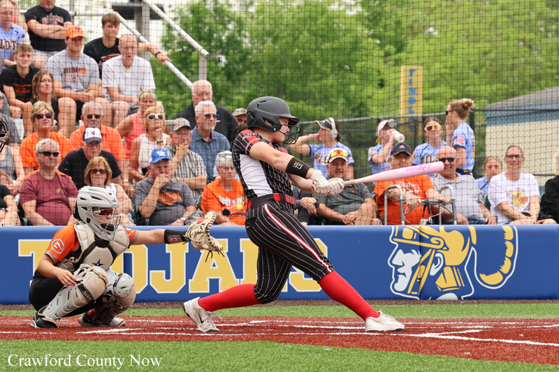 Softball batter in a black pinstripe uniform swings at a pitch as the catcher in orange crouches behind home plate; crowd watches from bleachers behind a blue wall.
