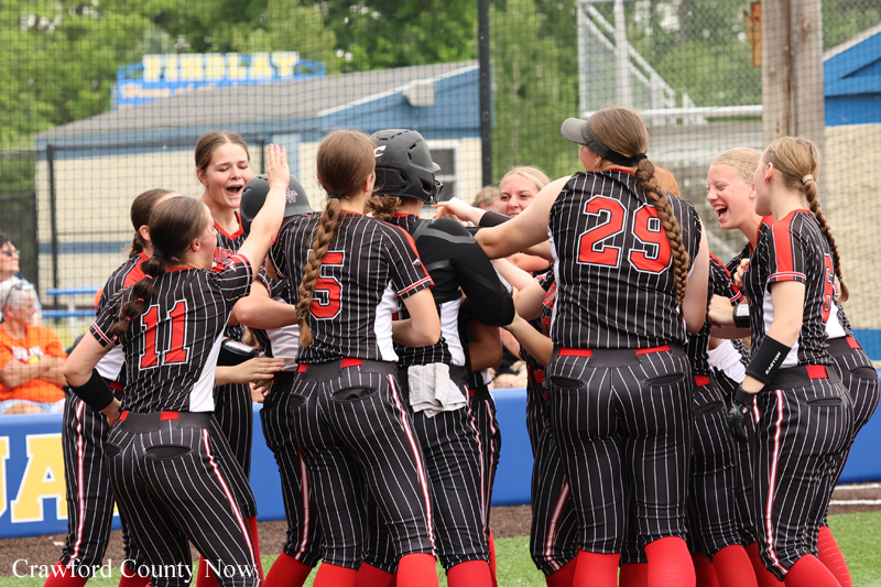 Girls' softball team in pinstripe uniforms huddle in celebration on the field, red socks visible, numbers 11, 25, and 29 on jerseys.