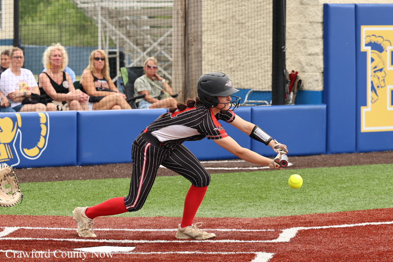 Softball player in pinstripe uniform lunges to field a ground ball, glove extended, on a red-dirt/green-turf field with spectators in the background.