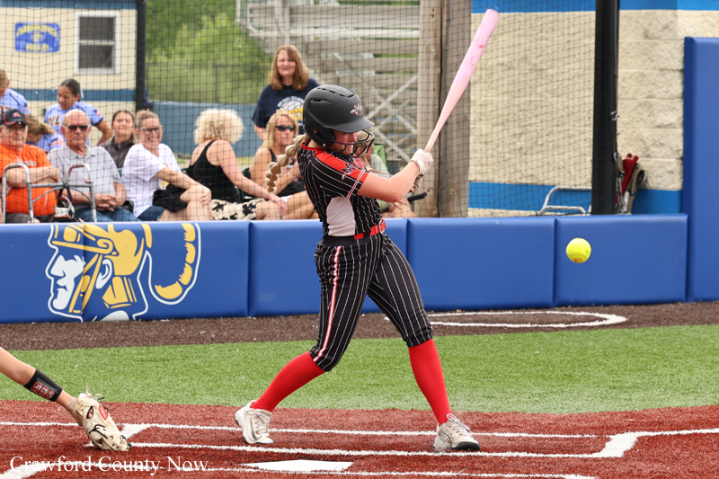 Softball batter in a black pinstripe uniform swings a pink bat as spectators watch from behind blue padding in a game arena.