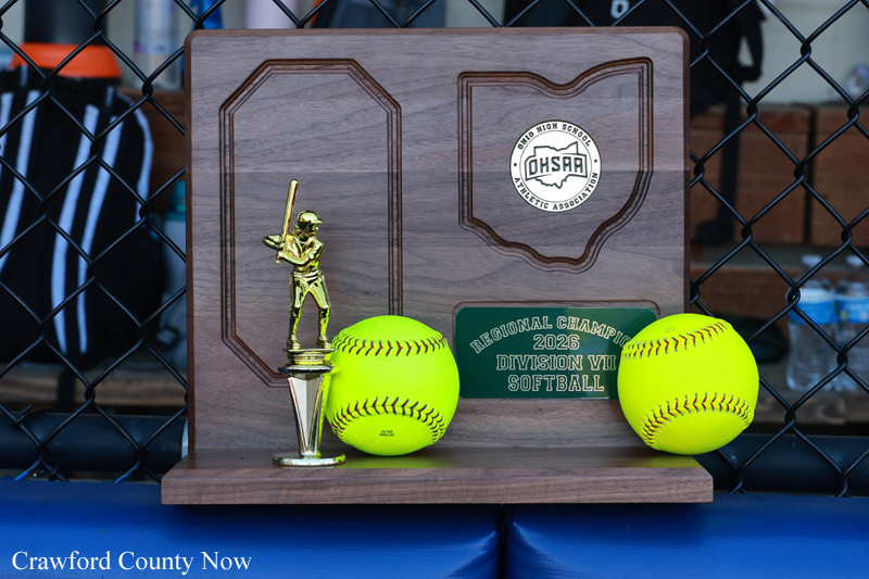 Wooden award plaque with a gold softball trophy and two neon-yellow softballs; plate reads 'Regional Champion 2026 Division VII Softball' (OHSAA logo visible).