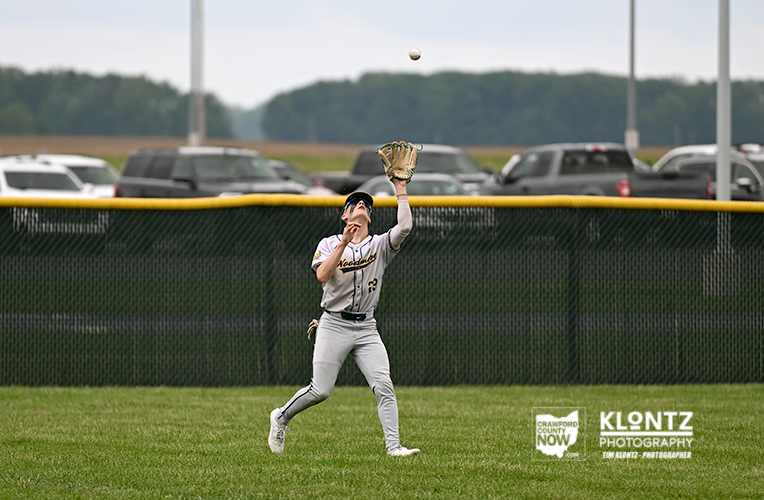 Baseball outfielder in gray uniform reaches high with glove to catch a fly ball over a grassy field with a chain-link fence and cars in the background.