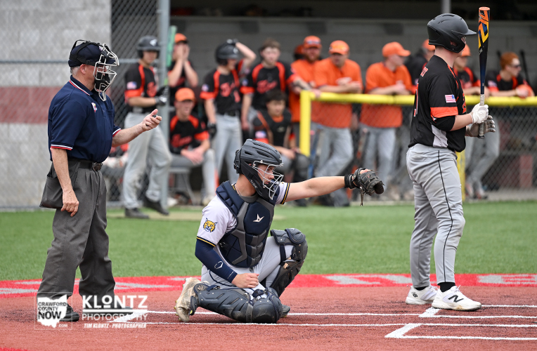 Youth baseball scene: catcher kneeling at home plate in blue gear, batter waiting with bat raised, umpire nearby, and spectators watching from the dugout.