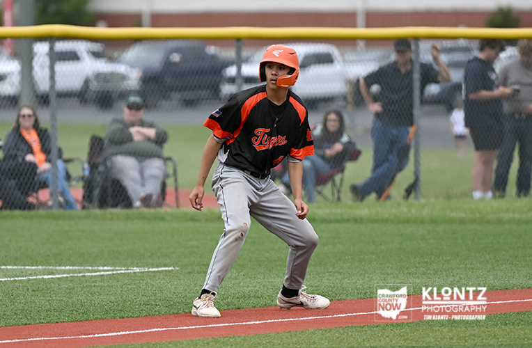 Young baseball player in a black and orange Tigers uniform stands on a base, wearing an orange helmet, with spectators behind a chain-link fence.