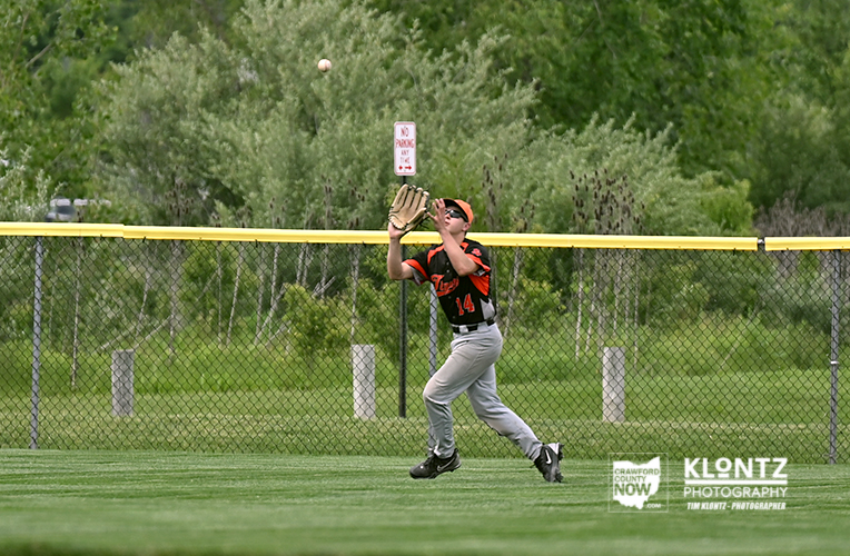 Baseball player in black and orange jersey with #14 reaches up to catch a fly ball near the outfield fence.