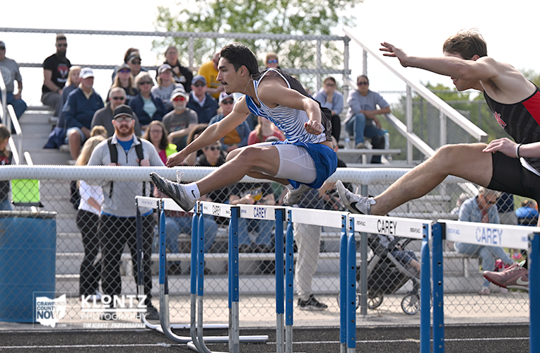 Two male hurdlers leap over track hurdles mid-race while a crowd watches from bleachers in a sunny stadium.