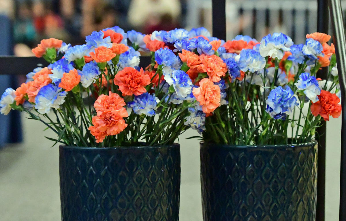 Two dark teal textured pots hold bright orange, blue, and white carnations in a row indoors, with a blurred shopping area in the background.
