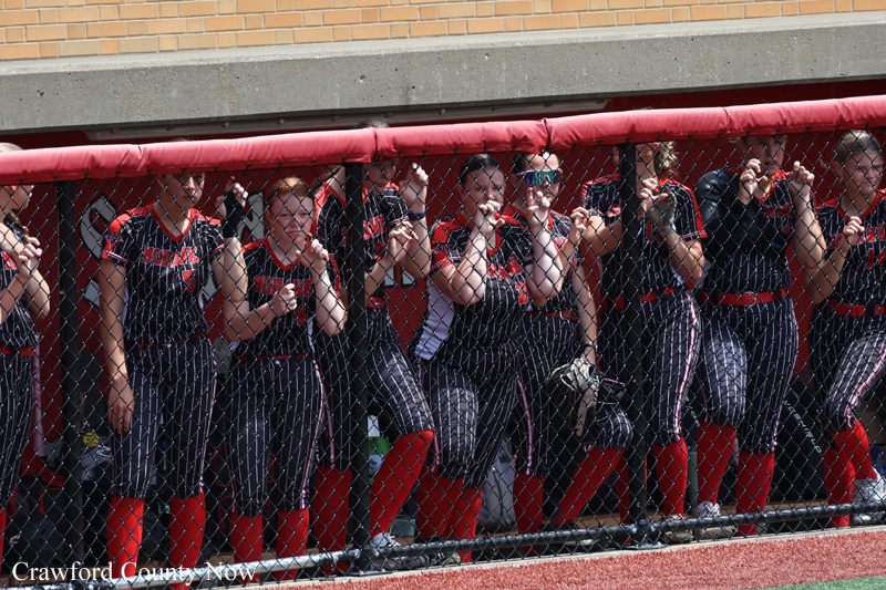 Girls' softball team in navy uniforms with red socks cheering from behind a chain-link fence at the dugout.
