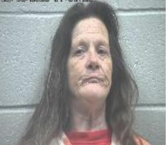 Mugshot of a middle-aged woman with long brown hair, wearing an orange jumpsuit, standing against a gray cinder block wall.
