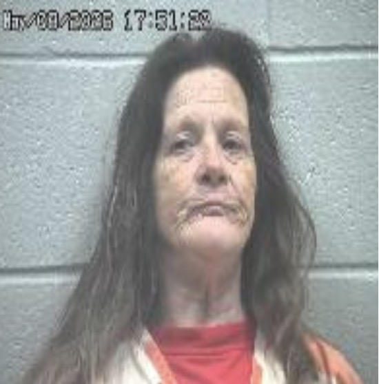 Mugshot of a middle-aged woman with long brown hair, wearing an orange jumpsuit, standing against a gray cinder block wall.