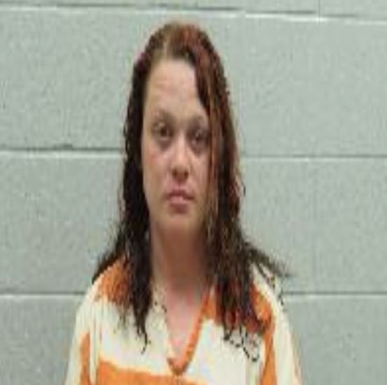 Mugshot of a woman with long brown hair in an orange jail uniform, standing against a gray cinder block wall.