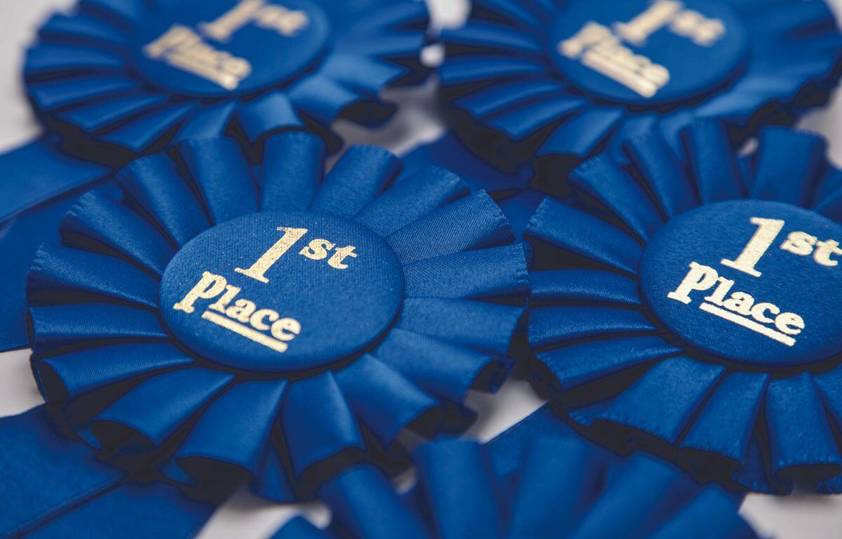 Blue first-place award ribbons with satin folds and gold text reading '1st Place' on round centers