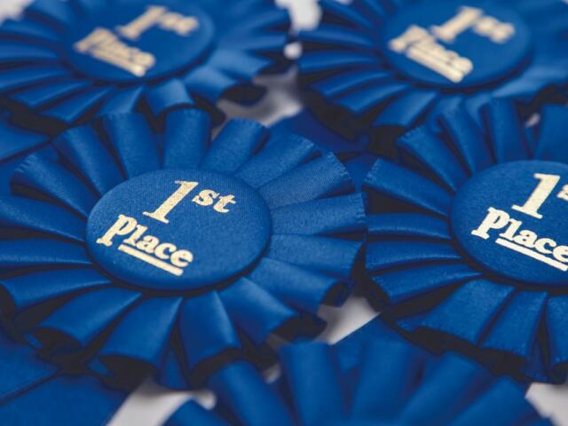 Blue first-place award ribbons with satin folds and gold text reading '1st Place' on round centers