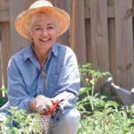 Smiling older woman in a straw hat pruning a tomato plant in a sunny backyard garden with a shovel nearby