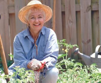 Smiling older woman in a straw hat pruning a tomato plant in a sunny backyard garden with a shovel nearby