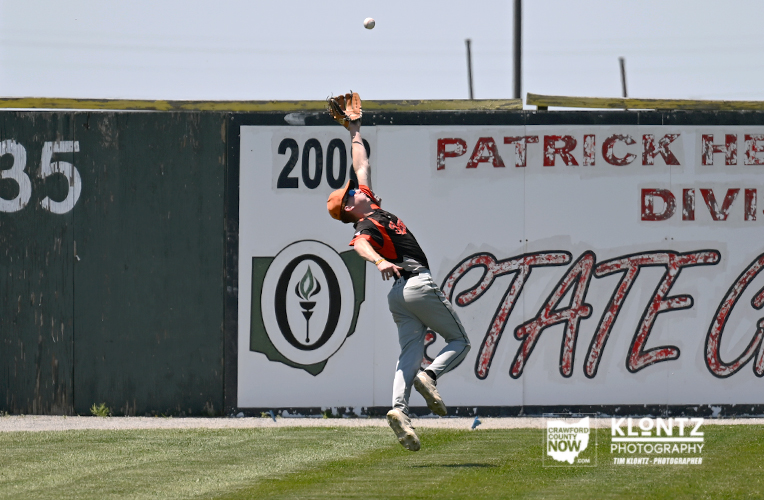 Baseball player in a black-and-red uniform leaps to catch a ball near the outfield wall as grass and advertising boards form the background.