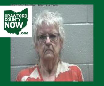 Mugshot-style photo of an elderly woman with short gray hair and glasses, wearing an orange and cream patterned blouse, against a gray cinder-block wall; Crawford County Now logo in the top-left corner.