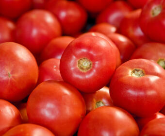 Pile of fresh red tomatoes with smooth shiny skin